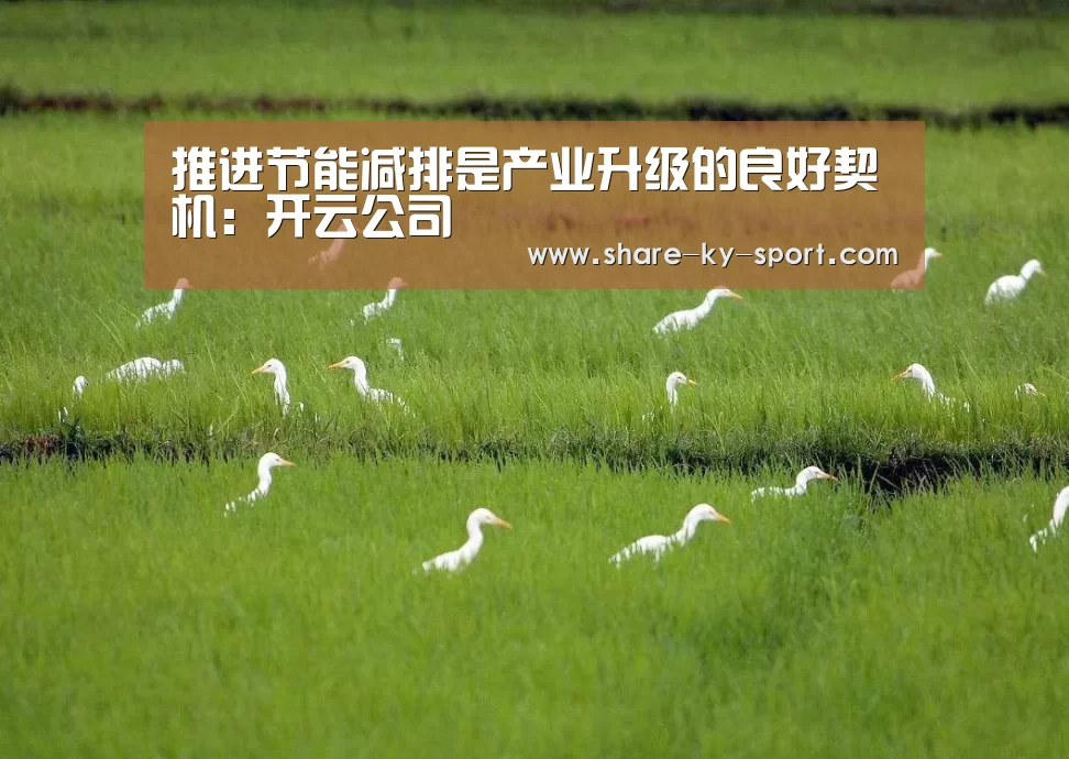 推进节能减排是产业升级的良好契机:开云公司(图2) 开云集团